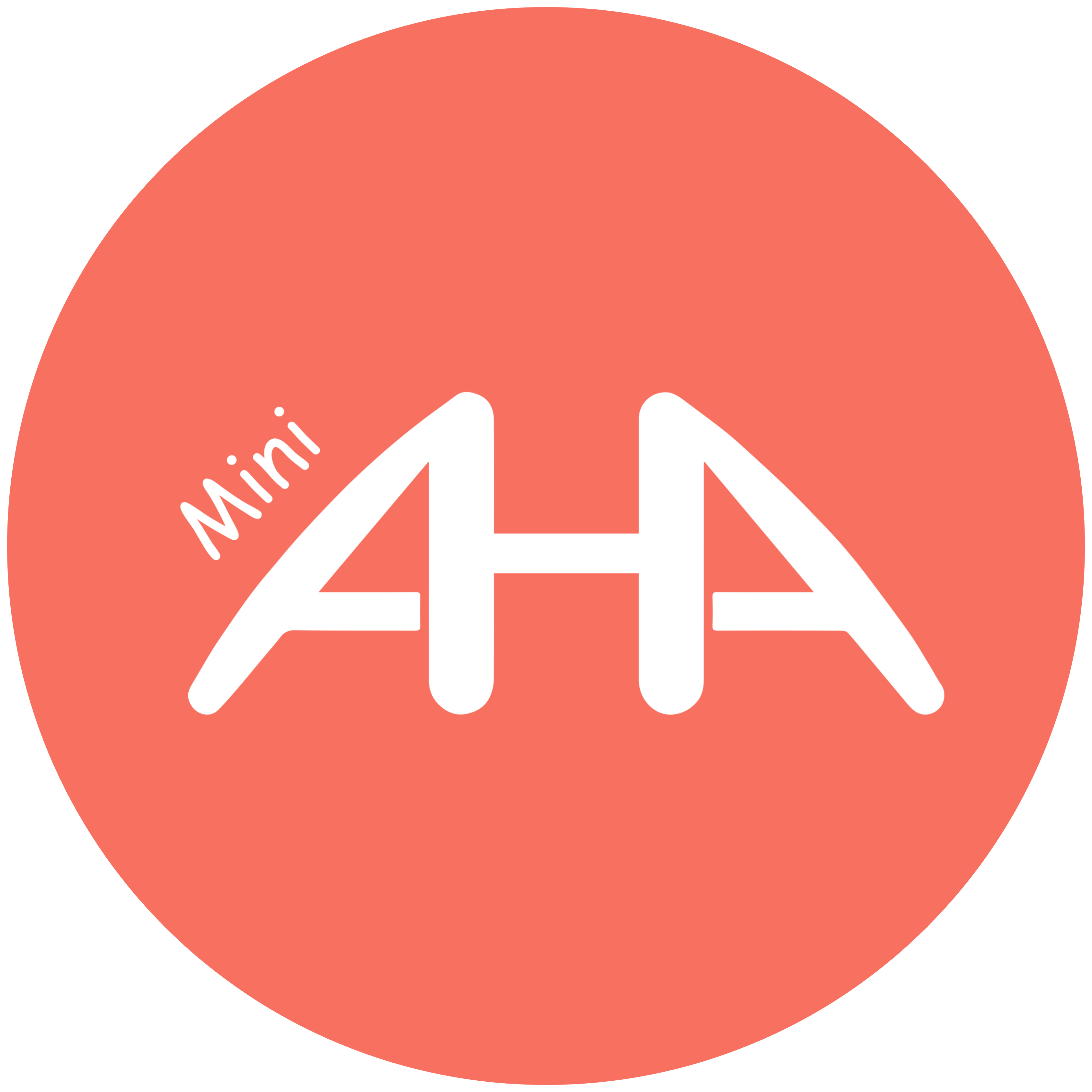 Mini AHA certification